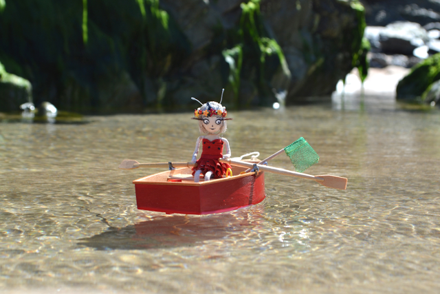 'Mascot' Celestine goes boating in a rock pool
