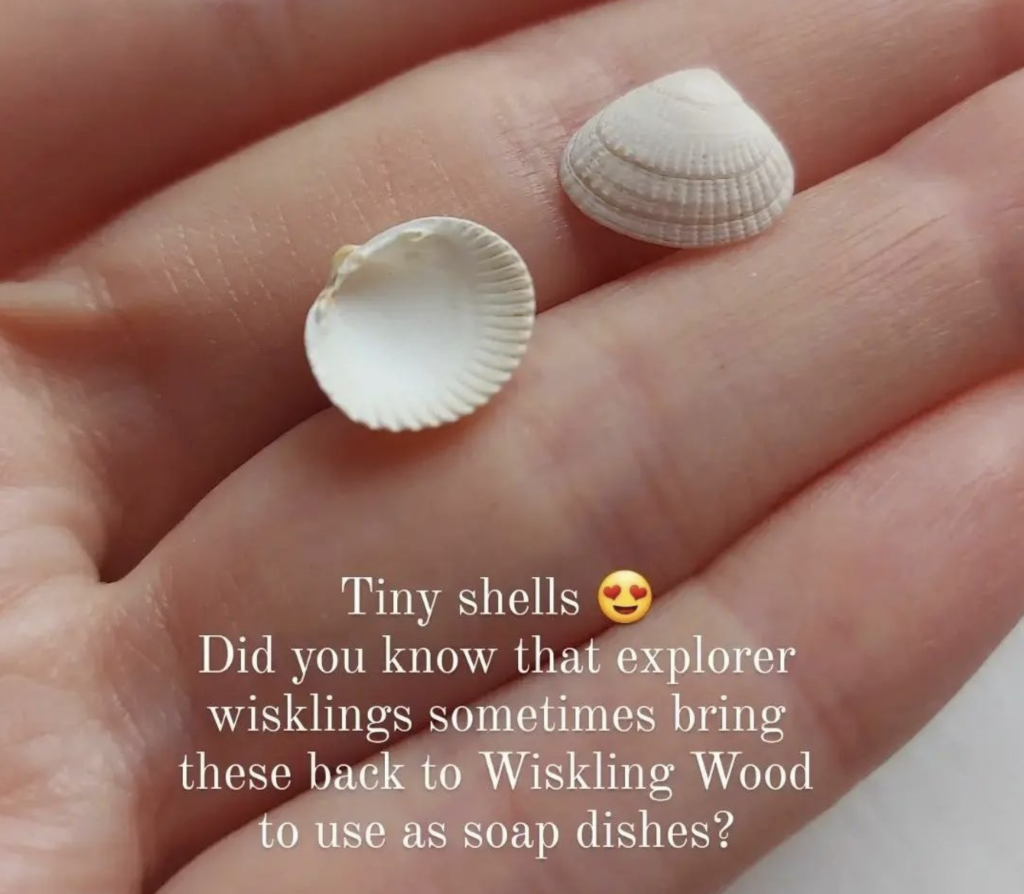 Wiskling shell soap dishes by Harriet Muncaster